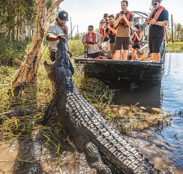 Netflix star Matt Wright JAILED over chopper crash death of Wild Croc Territory co-presenter that he tried to cover up