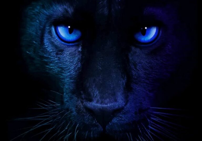 Intel claims Panther Lake's new Arc B390 iGPU crushes AMD's best mobile graphics