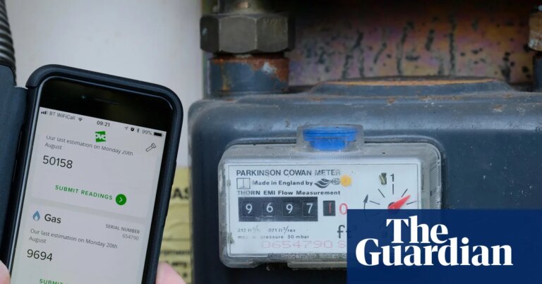 Ovo Energy fined £2.7m for failing to deliver government bill support on time | Energy industry