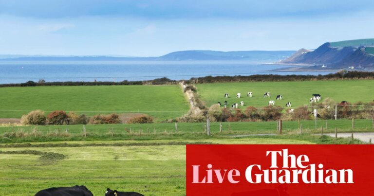 Food inflation forecast to fall this year after dairy, meat and vegetable oil costs drop – business live | Business