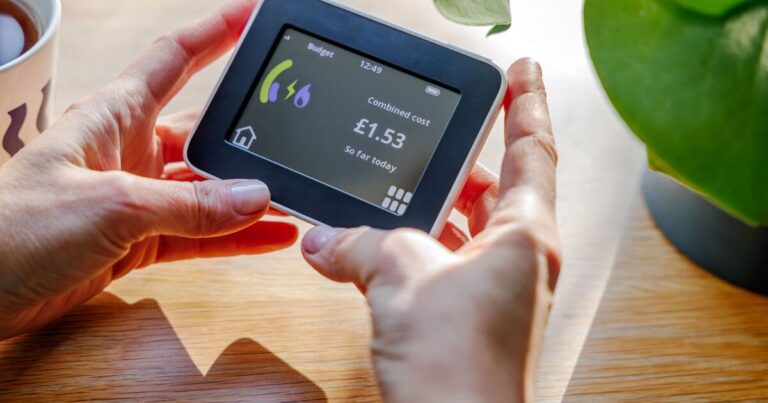 EDF Energy users to benefit from ‘free electricity’ on Sundays | UK | News
