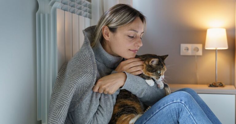 Stay warm without putting the heating on for less than 1p an hour | Personal Finance | Finance