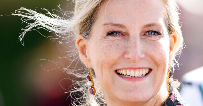 Duchess Sophie recalls horrifying moment that left her ‘shuddering’ in rare letter | Royal | News