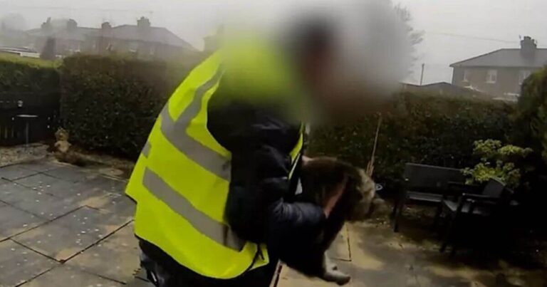 Moment ‘Amazon delivery driver scoops cat from doorstep’ | UK | News