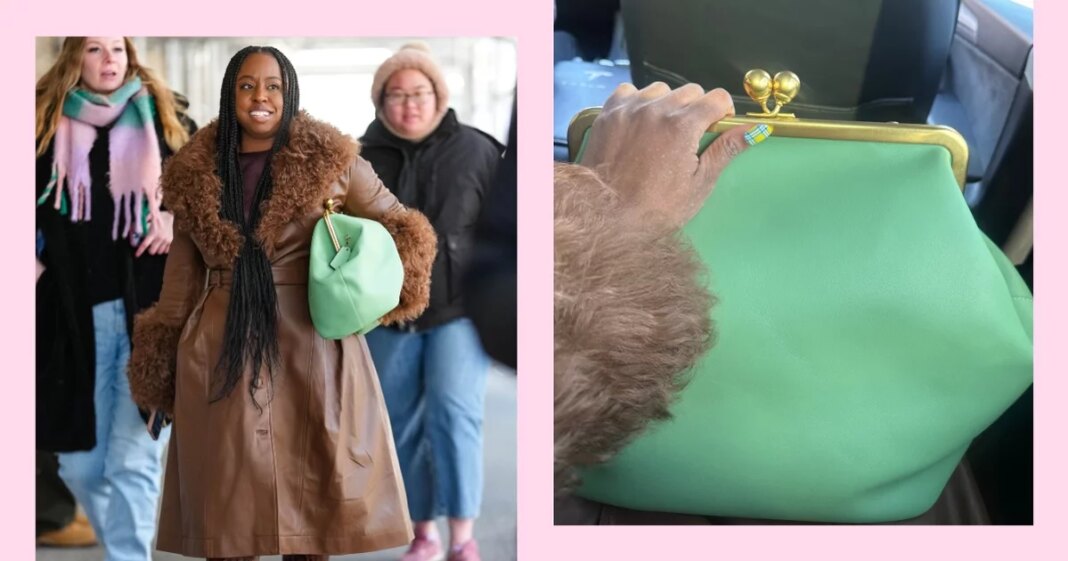 Coach Kisslock Frame Bag Review with Photos