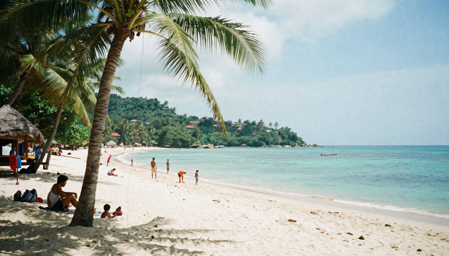 Vietnam is the Rising Star of Southeast Asia in 2026 and Indian Tourists Can Experience an Ideal Mix of Culture Beach Resorts and Adventure