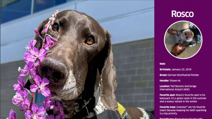 TSA Unleashes Its 2026 Canine Calendar