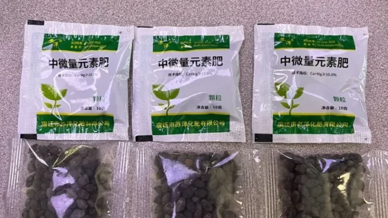 Texans Report Surge in Mystery Seeds Mailed From China