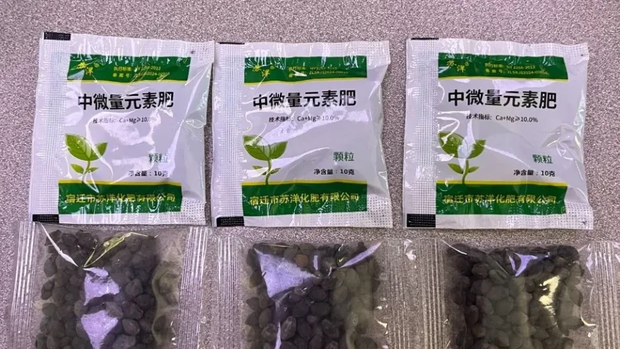 Texans Report Surge in Mystery Seeds Mailed From China
