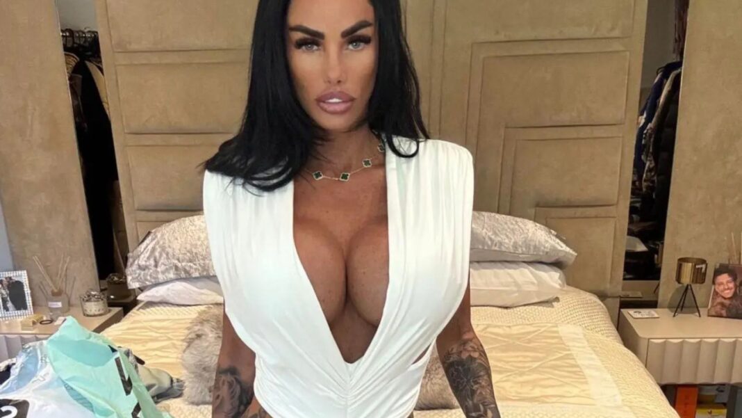 Katie Price fans in stitches as they notice funny detail in background of sexy snaps