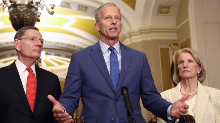 SAVE Act voter ID bill on Trump’s and Congress’ minds: What to know