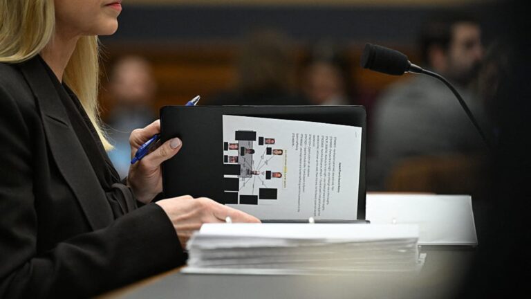 Pam Bondi had Jayapal’s DOJ database search history, rep says