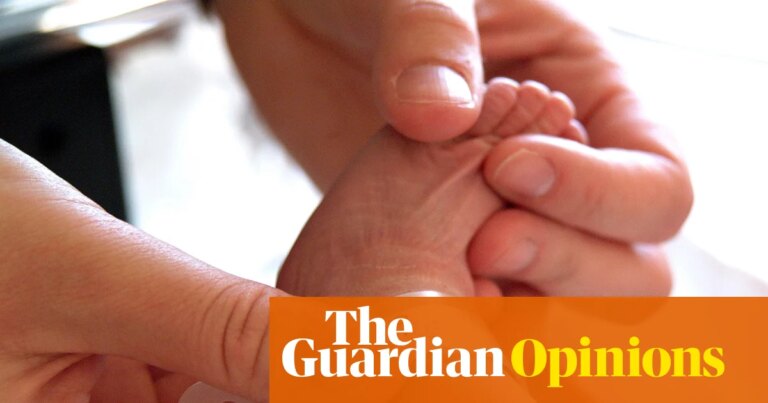 Yes, Britain needs more babies – but Reform’s nasty plans for women won’t help | Polly Toynbee