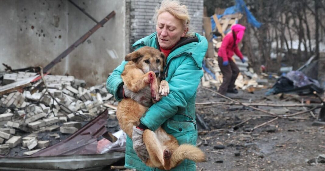 Devastating Russian attack kills 13 dogs in Ukrainian rescue shelter | World | News
