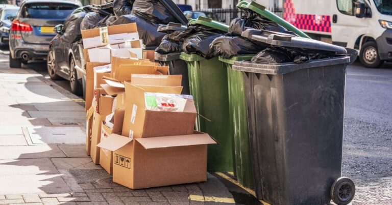 Households warned rubbish ‘won’t be collected’ if packaging spotted | UK | News