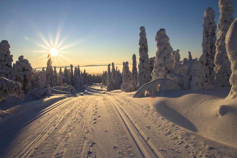 Why Finland is the Ultimate “Coolcation” Trendsetter: A 2026 Tourism Deep Dive