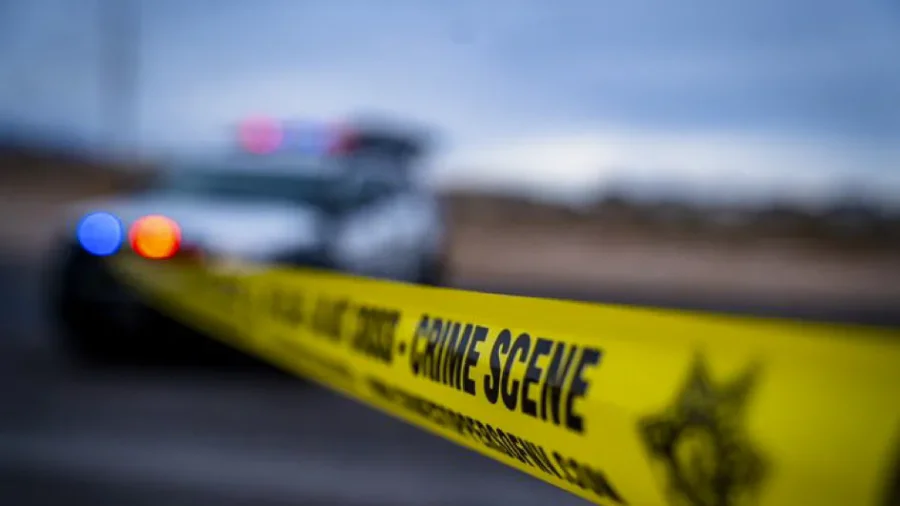 REPLAY: Las Vegas Police Hold Press Conference on Car Running Into Local Power Substation