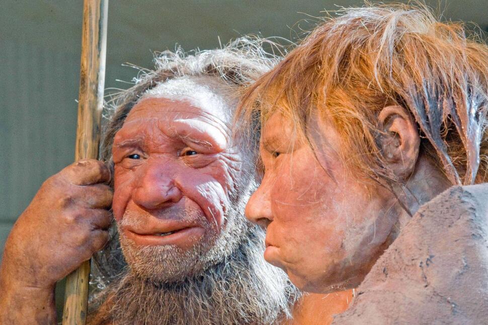 Ancient Coupling May Have Happened More Between Human Females and Neanderthal Males
