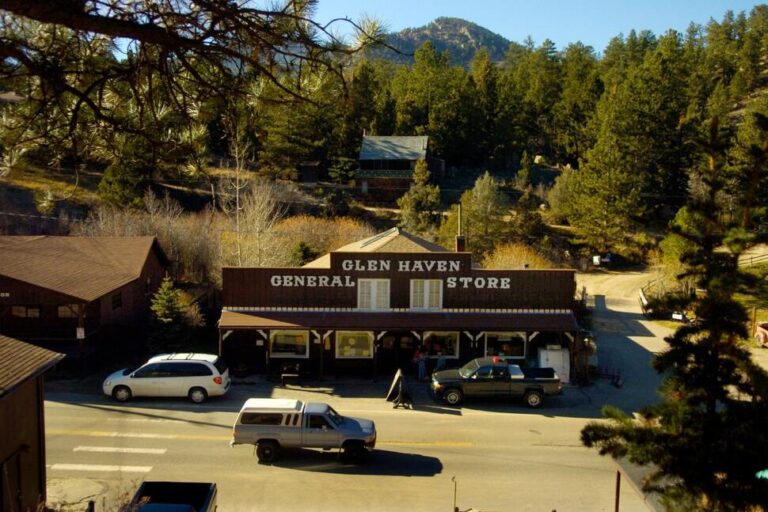 Suspected Deadly Mountain Lion Attack in Colorado Is Not the First Such Harrowing Encounter