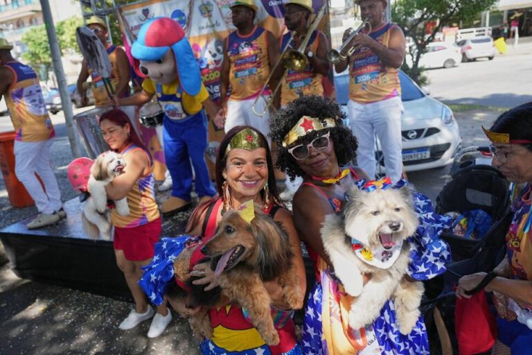 Dogs Parade at Rio Carnival as Their Owners Protest Against Animal Cruelty