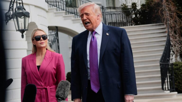 Trump not worried about domestic terror attack
