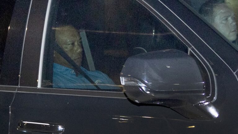 Tiger Woods had opioids, police DUI crash arrest affidavit says