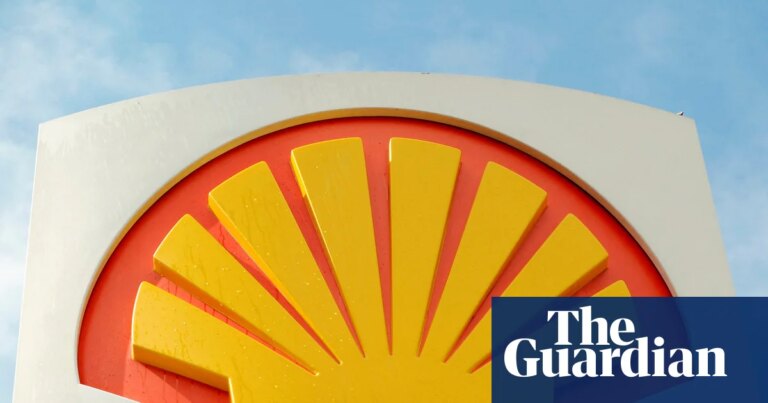 Shell CEO’s pay jumps 60% despite slump in profits at oil company | Shell