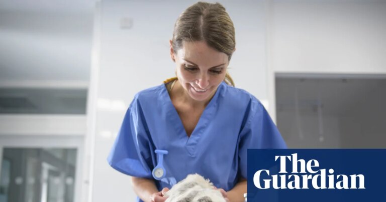 ‘It feels like they’re pulling figures out of the sky’: UK pet owners welcome crackdown on vet fees | Business