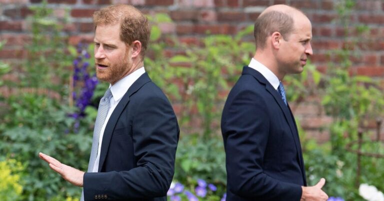 Royal Family: Royal expert gives devastating update on Prince William and Harry’s row | Royal | News