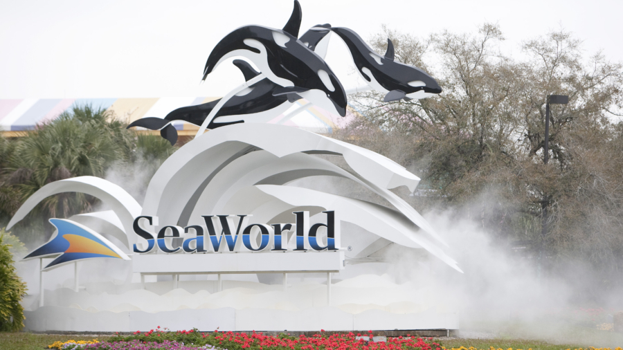 DOJ Sues SeaWorld’s Parent Company Over Ban on Wheeled Walkers at Their Parks