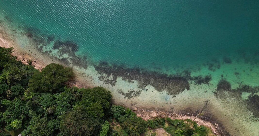 Sea levels much higher than previously thought due to “methodological blind spot,” study finds