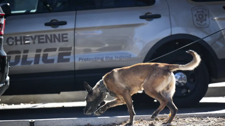 House Passes BOWOW Act, Allowing Deportation for Harming Police Dogs, Horses