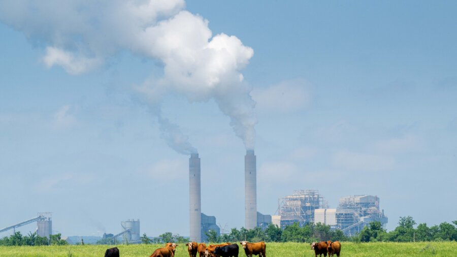 Vanguard, World’s 2nd Largest Fund Manager, Settles Coal Lawsuit With States