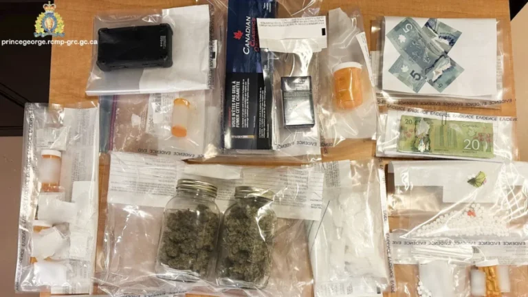 LIVE NOW: House CCP Committee Examines China’s Role in US Drug Supply