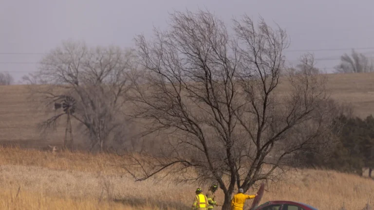 High Winds Cause Power Outages, Property Damage, and at Least 1 Death as Wild March Weather Blows In