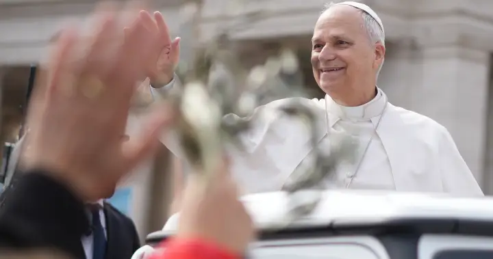 Pope uses Palm Sunday Mass to reject claims God justifies war – National