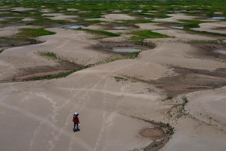 Heat Waves That Spark Damaging Droughts Are Happening More Frequently, Study Finds