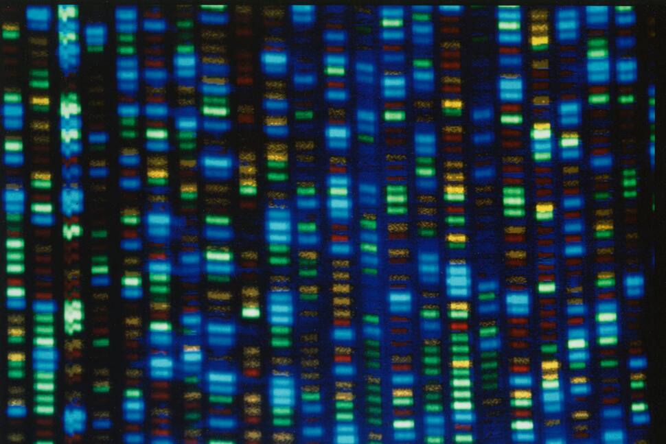Studies Test Whether Gene-Editing Can Fix High Cholesterol. for Now, Take Your Medicine