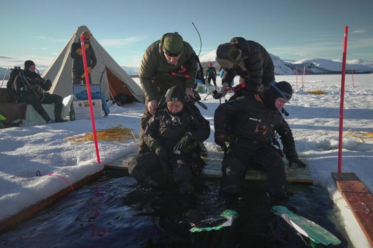 The Sea Beneath Arctic and Antarctic Ice Holds Many Secrets. These Scientists Dive Deep to Find Out