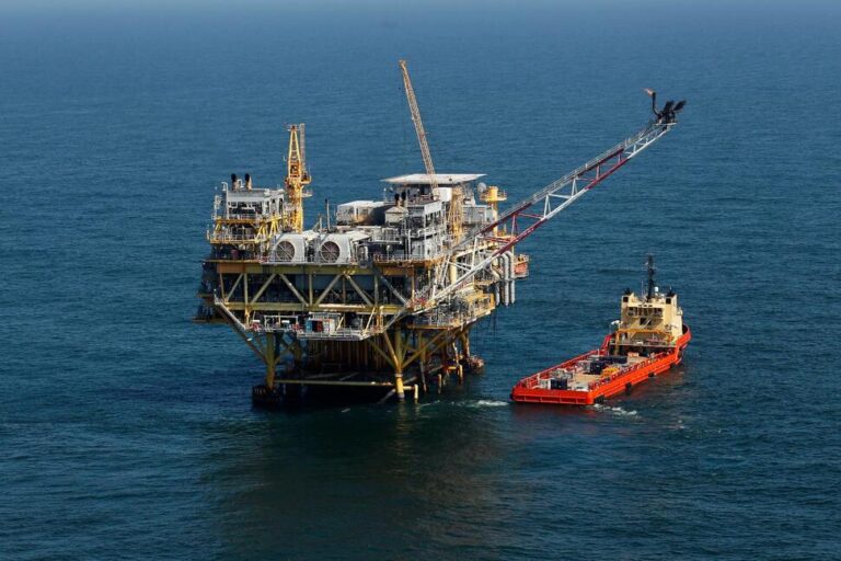 Judge Won’t Block Meeting That Could Exempt Gulf Drilling From Endangered Species Act