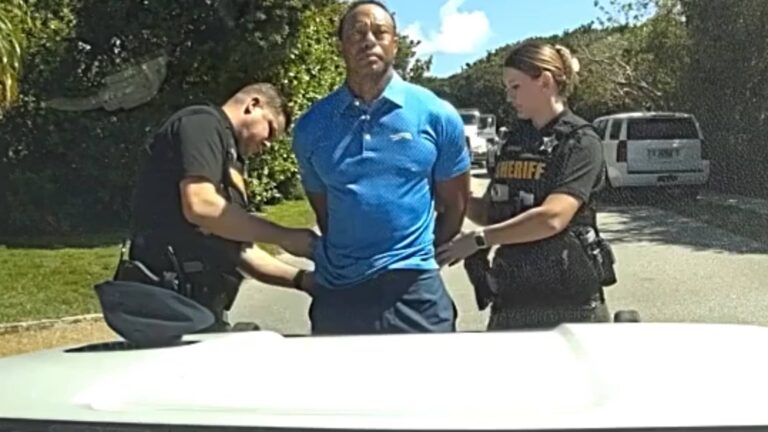 Tiger Woods called Trump after DUI crash: video