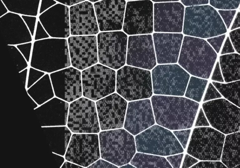 Anthropic unveils new powerful AI that finds software flaws, but says it's too dangerous to release