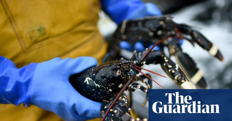 UK and EU close in on agricultural deal to reduce Brexit barriers | Brexit