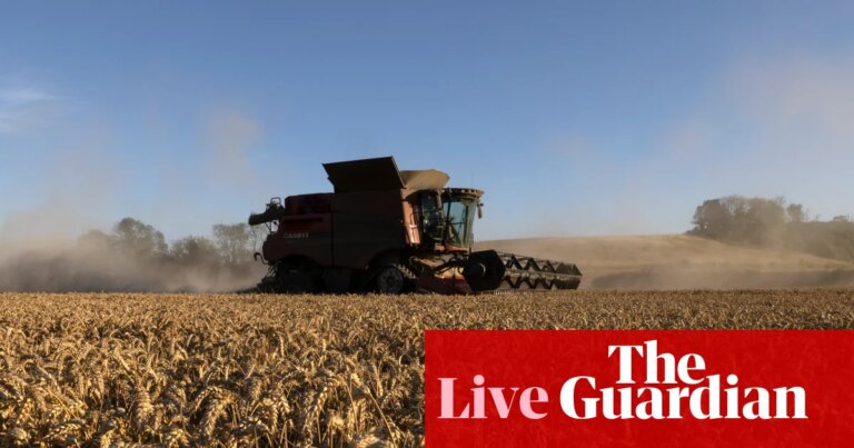 Wheat price heading for biggest jump in two months; insolvences rise in England and Wales – business live | Business