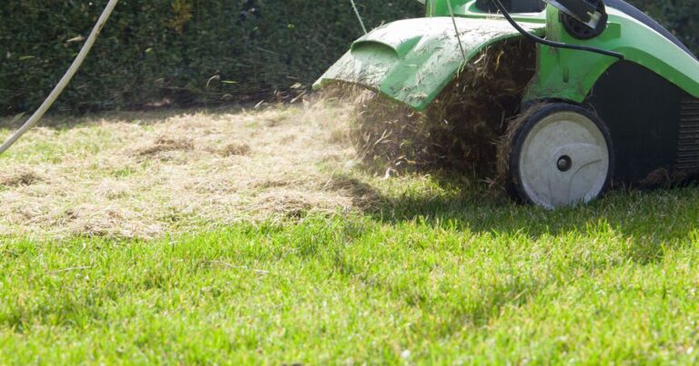 Brits warned lawn mistake could blow £750 hole in your pocket in April