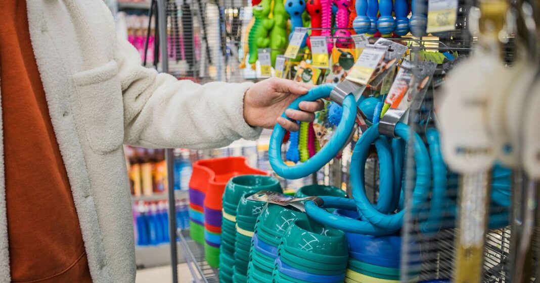 UK pet shop collapses into administration – in business for 27 years | UK | News