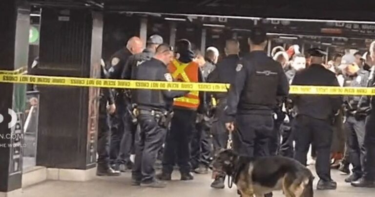 Grand Central shooting LIVE: New York station stabbing as police fire at ‘machete stabber’ | World | News