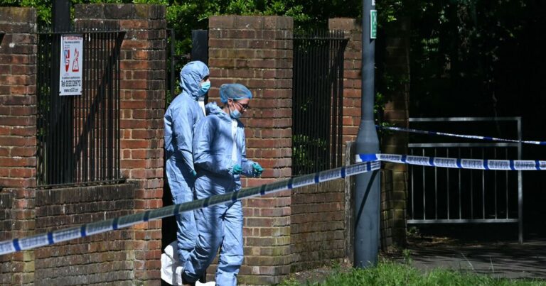 Counter terror police investigating ‘Iran link’ to attempted ‘firebomb’ on UK synagogue | UK | News