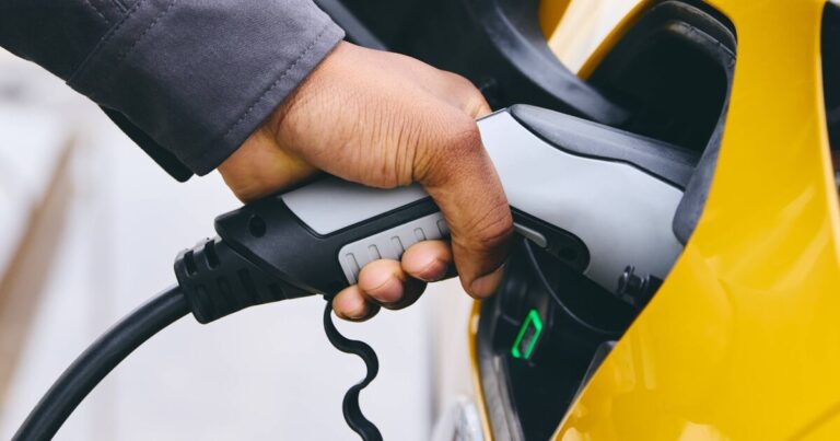 ‘Not a Tesla, BMW or Kia – the best electric car named’