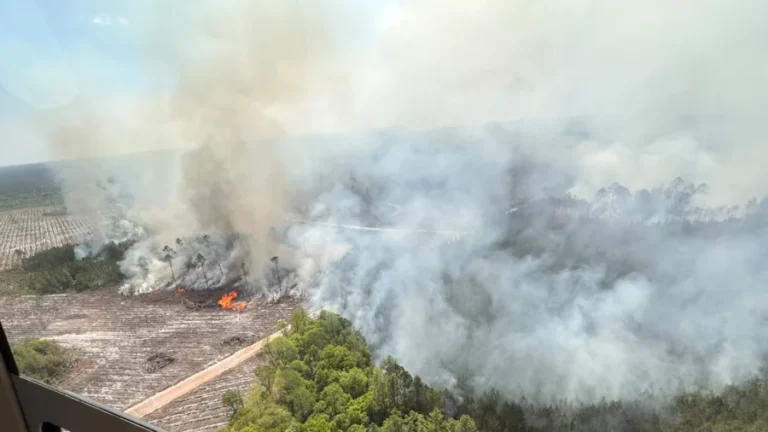 Fast-Growing Georgia Wildfire Tops 31 Square Miles, With Evacuations Possible